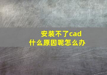 安装不了cad什么原因呢怎么办