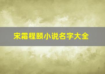 宋霜程颐小说名字大全