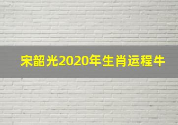 宋韶光2020年生肖运程牛