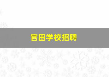 官田学校招聘