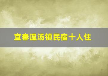 宜春温汤镇民宿十人住