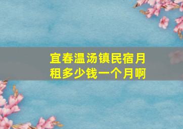 宜春温汤镇民宿月租多少钱一个月啊