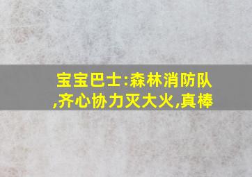 宝宝巴士:森林消防队,齐心协力灭大火,真棒