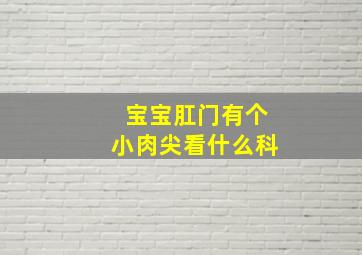 宝宝肛门有个小肉尖看什么科