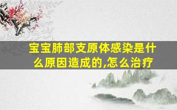 宝宝肺部支原体感染是什么原因造成的,怎么治疗