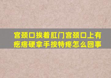 宫颈口挨着肛门宫颈口上有疙瘩硬拿手按特疼怎么回事