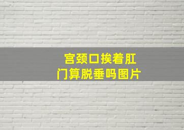 宫颈口挨着肛门算脱垂吗图片