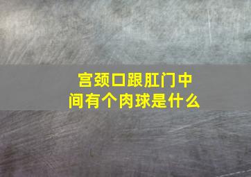 宫颈口跟肛门中间有个肉球是什么