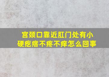 宫颈口靠近肛门处有小硬疙瘩不疼不痒怎么回事