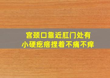 宫颈口靠近肛门处有小硬疙瘩捏着不痛不痒