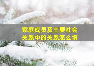 家庭成员及主要社会关系中的关系怎么填