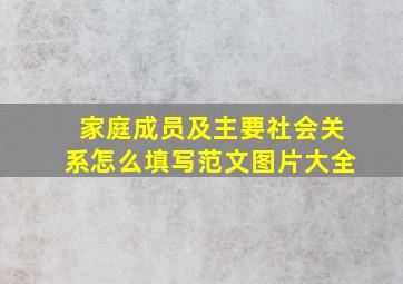 家庭成员及主要社会关系怎么填写范文图片大全