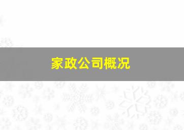 家政公司概况