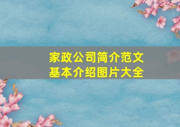 家政公司简介范文基本介绍图片大全