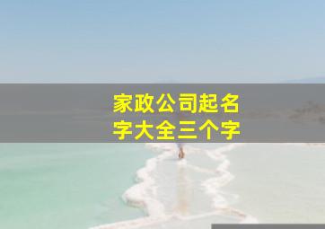 家政公司起名字大全三个字