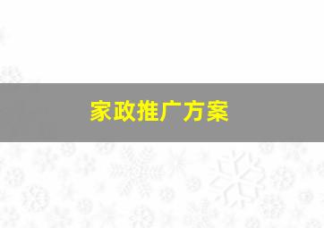 家政推广方案