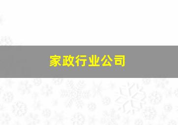 家政行业公司