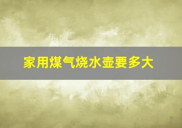 家用煤气烧水壶要多大