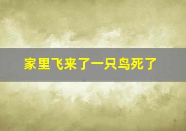 家里飞来了一只鸟死了