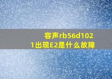 容声rb56d1021出现E2是什么故障