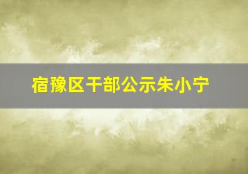 宿豫区干部公示朱小宁