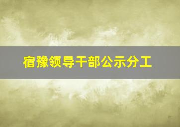 宿豫领导干部公示分工