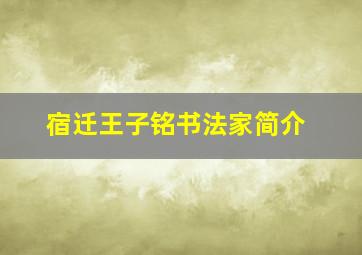 宿迁王子铭书法家简介