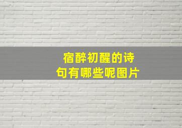 宿醉初醒的诗句有哪些呢图片