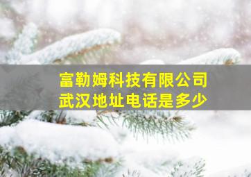 富勒姆科技有限公司武汉地址电话是多少