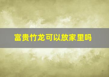 富贵竹龙可以放家里吗