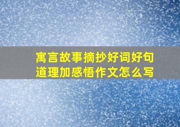 寓言故事摘抄好词好句道理加感悟作文怎么写