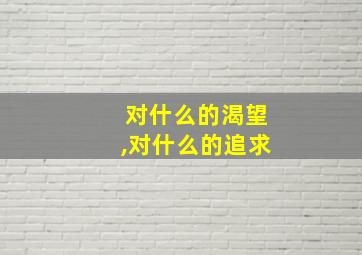 对什么的渴望,对什么的追求