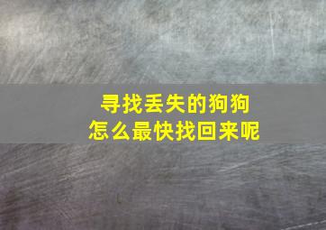 寻找丢失的狗狗怎么最快找回来呢