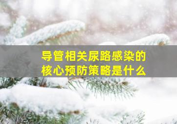 导管相关尿路感染的核心预防策略是什么