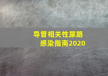 导管相关性尿路感染指南2020