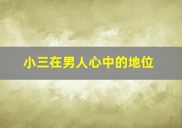 小三在男人心中的地位