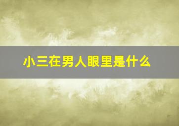 小三在男人眼里是什么