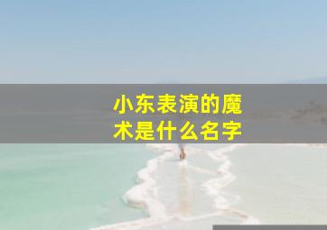 小东表演的魔术是什么名字