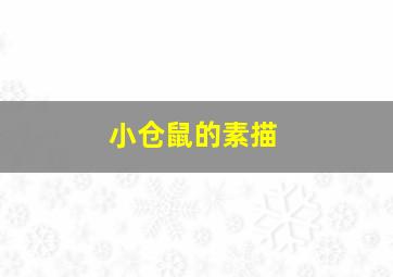 小仓鼠的素描