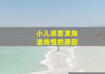 小儿感冒发烧退烧慢的原因