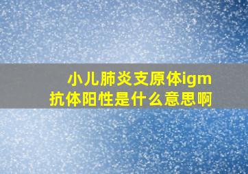 小儿肺炎支原体igm抗体阳性是什么意思啊