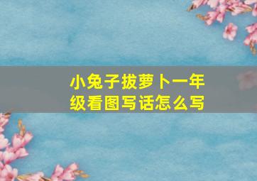 小兔子拔萝卜一年级看图写话怎么写