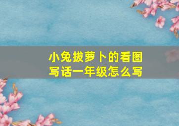 小兔拔萝卜的看图写话一年级怎么写