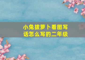 小兔拔萝卜看图写话怎么写的二年级