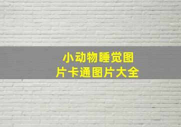 小动物睡觉图片卡通图片大全