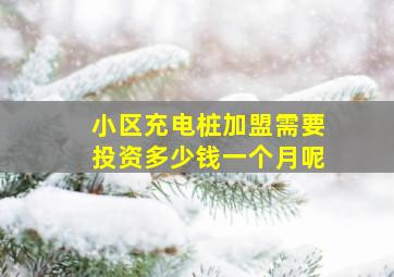 小区充电桩加盟需要投资多少钱一个月呢