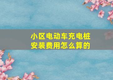 小区电动车充电桩安装费用怎么算的