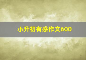 小升初有感作文600