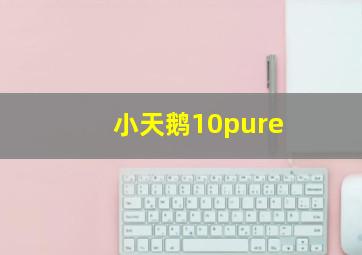 小天鹅10pure