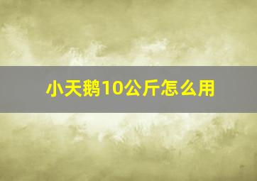 小天鹅10公斤怎么用